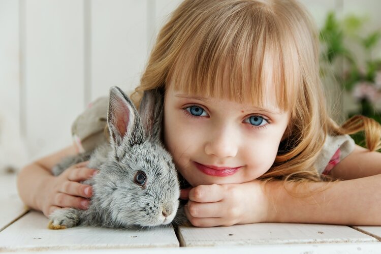 Un enfant avec un lapin